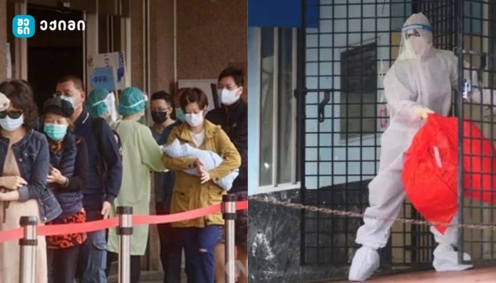 ორი ექთანი დაინფიცირდა ვირუსით - სასიკვდილო ვირუსის აფეთქება ინდოეთში - რა არის ნიპას ვირუსი