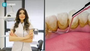 რატომ ვერ იწმინდება ნადების 80 % სახლში?