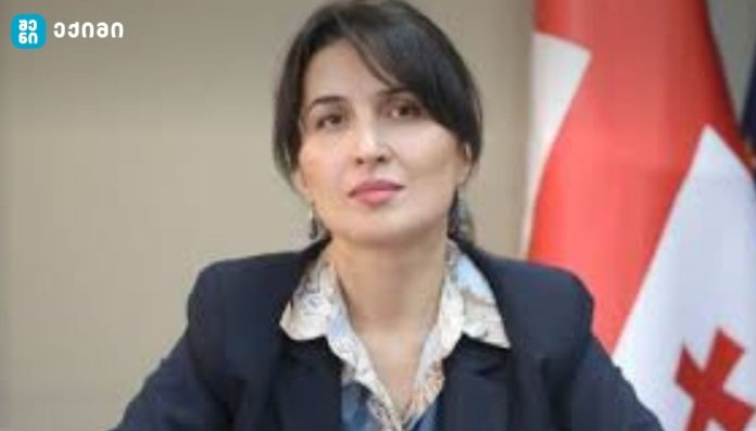 ვერტიკალური პროგრამების სერვისები და მედიკამენტები ბენეფიციარებისთვის 100%-ით ფინანსდება - ეკა შარაძე