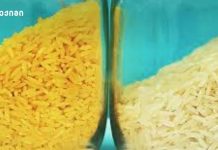 საფრთხე თქვენს თეფშზე — ბრინჯის მასშტაბური გაწვევა აშშ-ში – განსაკუთრებული სიფრთხილე • ბავშვებისთვის • ხანდაზმულებისთვის • იმუნოკომპრომეტირებული პირებისთვის სიმართლე ბრინჯზე, რომელსაც ყოველდღე ვჭამთ - როცა ვირუსული შიში რეალურ საფრთხეებს ფარავს