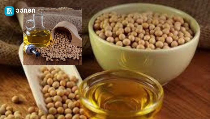 სოიოს ზეთი: სასარგებლო ცხიმი თუ სიმსუქნის ფარული ხელშემწყობი? - ქართველი მკითხველისთვის ეს საკითხი განსაკუთრებით მნიშვნელოვანია