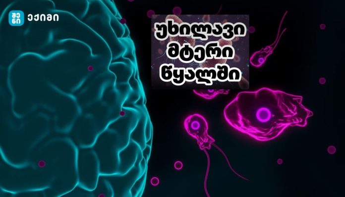 „ტვინის მჭამელი“ ამება უკვე წყლის სისტემებში ვრცელდება — მეცნიერები გვაფრთხილებენ