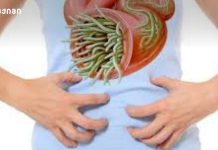 ალერგია და ორგანიზმის შინაგანი ბალანსი: ღვიძლი და პარაზიტული ინფექციები – უხილავი ბიოქიმიური სამკუთხედი ალერგია და ორგანიზმის შინაგანი ბალანსი: ღვიძლი და პარაზიტული ინფექციები - უხილავი ბიოქიმიური სამკუთხედი