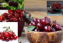 მისი მიღება ამცირებს სისხლში ქოლესტერინის დონეს, ადამიანი წონაში იკლებს – ბუნებრივი წამალი თქვენი ორგანიზმისთვის მისი მიღება ამცირებს სისხლში ქოლესტერინის დონეს, ადამიანი წონაში იკლებს – ბუნებრივი წამალი თქვენი ორგანიზმისთვის