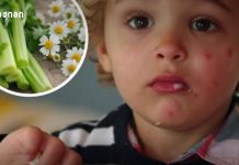 ლუტეოლინის შემცველი დანამატი და აუტიზმის სპექტრის აშლილობა: საპილოტე კვლევის შედეგების კრიტიკული ანალიზი ლუტეოლინის შემცველი დანამატი და აუტიზმის სპექტრის აშლილობა: საპილოტე კვლევის შედეგების კრიტიკული ანალიზი