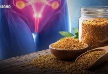 მენსტრუალური ციკლი რეგულარულად აღდგა პოლიკისტოზური საკვერცხეების სინდრომის მქონე ქალების 71%-ში ქაცხურის თესლის ექსტრაქტის 90-დღიანი მიღების შემდეგ მენსტრუალური ციკლი რეგულარულად აღდგა პოლიკისტოზური საკვერცხეების სინდრომის მქონე ქალების 71%-ში ქაცხურის თესლის ექსტრაქტის 90-დღიანი მიღების შემდეგ