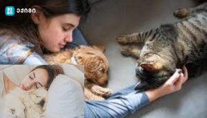 რამდენად უსაფრთხოა შინაურ ცხოველთან ერთად ძილი — რას ამბობს მეცნიერება