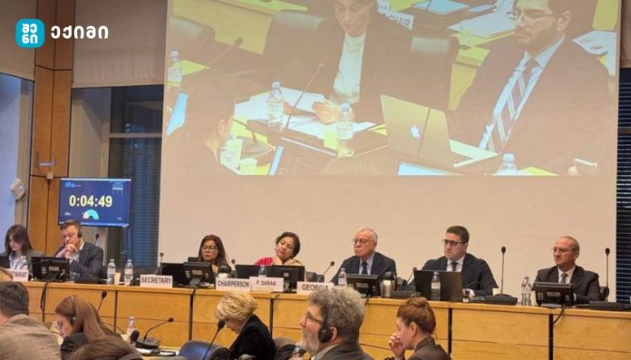 საქართველოს დელეგაცია ჟენევაში გაეროს ეკონომიკური, სოციალური და კულტურული უფლებების კომიტეტის სესიაში მონაწილეობს