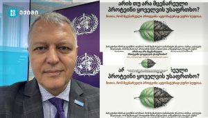 არის თუ არა მცენარეული პროტეინი ყოველთვის უსაფრთხო?