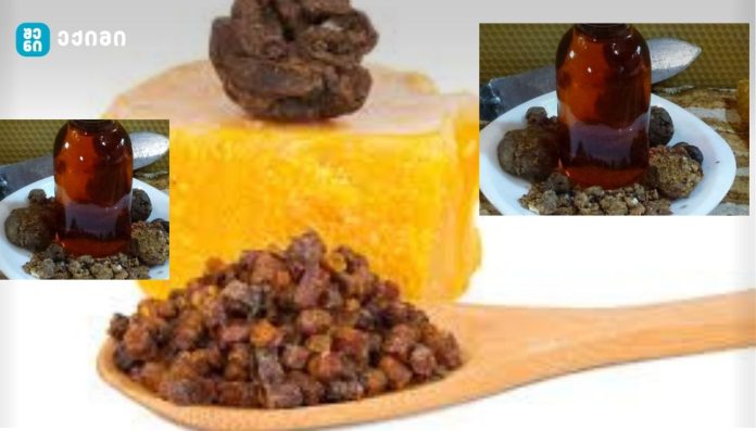 პროპოლისი – რა არის ეს და რა თვისებები აქვს?