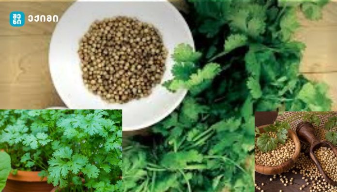 განკურნე პანკრეასი, ღვიძლი და სხვა ორგანოები მხოლოდ 1 ბუნებრივი ინგრედიენტით! ჯადოსნური პროდუქტი, რომლითაც შეგიძლიათ ისარგებლოთ არის…