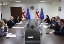 ადამიანური კაპიტალის პროგრამა, რომელიც მსოფლიო ბანკის მიერ ფინანსდება მოიცავს ჯანმრთელობის, განათლებისა და სოციალური დაცვის მიმართულებებს ადამიანური კაპიტალის პროგრამა, რომელიც მსოფლიო ბანკის მიერ ფინანსდება მოიცავს ჯანმრთელობის, განათლებისა და სოციალური დაცვის მიმართულებებს