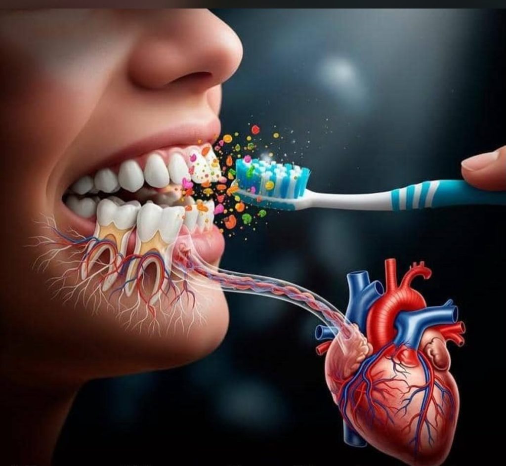 პატარა კარიესიდან სიცოცხლისთვის საშიშ გულის ინფექციამდე — ფარული საფრთხე, რომელსაც ბევრი ადამიანი სათანადოდ არ აფასებს ეს გაზვიადება არ არის | sheniekimi.ge | შენი ექიმი