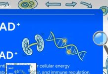 NAD⁺ ინექციები და NAD გამაძლიერებლები: მტკიცებულებების ხარვეზები, უსაფრთხოების საკითხები და საზოგადოებრივი ჯანმრთელობის შედეგები NAD⁺ ინექციები და NAD გამაძლიერებლები: მტკიცებულებების ხარვეზები, უსაფრთხოების საკითხები და საზოგადოებრივი ჯანმრთელობის შედეგები