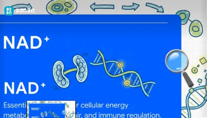 NAD⁺ ინექციები და NAD გამაძლიერებლები: მტკიცებულებების ხარვეზები, უსაფრთხოების საკითხები და საზოგადოებრივი ჯანმრთელობის შედეგები