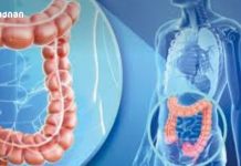 წყლულოვანი კოლიტი — იწყება ჩუმად, მაგრამ სერიოზული შედეგები შეიძლება ჰქონდეს Illustration of the human digestive system with the colon highlighted in orange