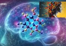 10 ბუნებრივი მეთოდი დოფამინის დონის ასაწევად 10 ბუნებრივი მეთოდი დოფამინის დონის ასაწევად