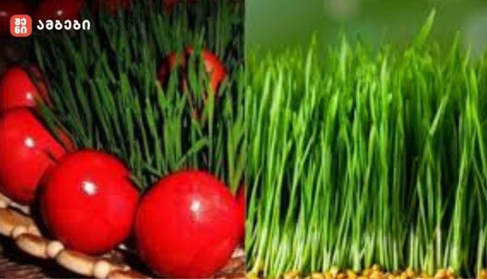 ჯეჯილის სასარგებლო თვისებები და მის მნიშვნელობა - „მისი გამოყენება შესაძლებელია, როგორც წვნიანში, ასევე სალათში...“