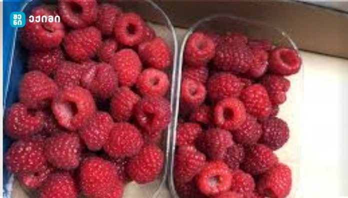 ჟოლო შეუძლია სრულად განკურნოს ქრონიკული დაავადებები - ეცნიერებმა კენკრის უნიკალური სამკურნალო თვისებები დაადასტურეს