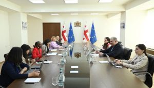საუბარი შეეხო მედიკამენტებზე რეფერენტული ფასების დადგენის მექანიზმსა და შესაბამისი კომისიის საქმიანობას, რომელიც, როგორც ეფექტიანი და სისტემური რეგულირების მნიშვნელოვანი ინსტრუმენტი, დადებითად შეფასდა