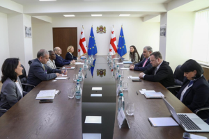 შეხვედრაზე, მხარეებმა ადამიანური კაპიტალის პროექტის მიმდინარეობასა და სოციალური დაცვის ანგარიშგების ინტეგრირებული სისტემის დანერგვაზე (IRSSP) ისაუბრეს. განიხილეს სოციალური სისტემების გაძლიერებისა და დასაქმების შესაძლებლობები