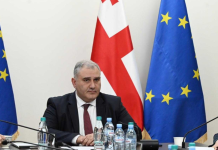 მიხეილ სარჯველაძე: „ნამდვილად შეიძლება ფიქრი იმაზე, რომ როგორც ადრეული დიაგნოსტიკის, ისე მკურნალობის შემდგომი მონიტორინგის დაფინანსება გავხადოთ სისტემური და იქცეს საყოველთაო სტანდარტული ჯანდაცვის პროგრამის ნაწილად“ „ამორალურია, როდესაც არასწორი შთაბეჭდილებების შექმნა ხდება მარტო იმიტომ, რომ პოლიტიკურად ან, გნებავთ, კომერციულად, ეს ვინმესთვის საინტერესოა - მიხეილ სარჯველაძე დიუშენის მკურნალობის საკითხზე“