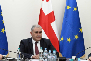 მიხეილ სარჯველაძე: „შავ ჭირთან“ დაკავშირებით არავითარი მიზეზი პანიკისა და ყალბი აჟიოტაჟისთვის არ არსებობს
