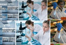 Pfizer და Innovent Biologics კიბოს საწინააღმდეგო 12 ახალი მედიკამენტის განვითარებისთვის 10.5 მილიარდ დოლარიან პარტნიორობას აფორმებენ – მიზანი კიბოს წამლის შემუშავებაა Pfizer და Innovent Biologics კიბოს საწინააღმდეგო 12 ახალი მედიკამენტის განვითარებისთვის 10.5 მილიარდ დოლარიან პარტნიორობას აფორმებენ - მიზანი კიბოს წამლის შემუშავებაა