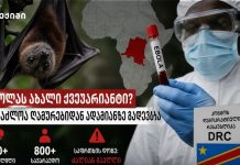 ებოლას განგაში იტალიაში — ლომბარდიაში ეჭვმიტანილი ორი შემთხვევის ტესტი უარყოფითი აღმოჩნდა https://sheniekimi.ge/2026/05/23/%e1%83%a1%e1%83%90%e1%83%9b%e1%83%a1%e1%83%90%e1%83%ae%e1%83%a3%e1%83%a0%e1%83%94%e1%83%91%e1%83%a0%e1%83%98%e1%83%95%e1%83%98-%e1%83%9b%e1%83%9d%e1%83%95%e1%83%90%e1%83%9a%e1%83%94%e1%83%9d%e1%83%91/