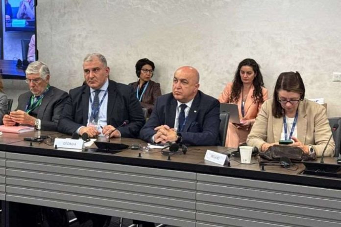 მიხეილ სარჯველაძემ ჯანმრთელობის მსოფლიო ასამბლეის ფარგლებში პირველადი ჯანდაცვის საკითხებზე გამართულ პანელურ დისკუსიაში მიიღო მონაწილეობა
