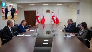 მიხეილ სარჯველაძემ და არტურ გებალმა შრომის ბაზრისა და დასაქმების საკითხებზე ისაუბრეს, ამასთან, განიხილეს შრომით მიგრაციასთან დაკავშირებული თემები.