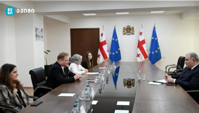 Five people in a formal meeting around a long conference table with Georgia and EU flags behind them behind the room.
