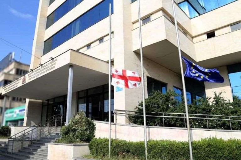 ჯანდაცვის სამინისტრო დიუშენით დაავადებულ პაციენტებზე: სოციალური რეაბილიტაციისა და ბავშვზე ზრუნვის სახელმწიფო პროგრამის ფარგლებში, ბენეფიციარები აქამდეც უზრუნველყოფილნი იყვნენ სხვადასხვა ტიპის დამხმარე საშუალებებით, მათ შორის ელექტროეტლებით. სულ ახლახან კი ამ დამხმარე საშუალებებს კიდევ ერთი სიახლე – პერსონალური ამწეები დაემატა