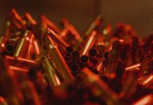 ჯანმრთელობის მსოფლიო ორგანიზაცია ტყვიის შემცველი საბრძოლო მასალის გლობალურ აკრძალვას მოითხოვს ინფოგრაფიკა ტყვიისფერი ამუნიციით გამოწვეული ველური ცხოველების სიკვდილის შესახებ სტატისტიკით