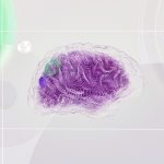 fMRI კვლევა: ტვინის ქსელის ფრაგმენტაცია ლეგალური დოზით ალკოჰოლის მიღების შემდეგ ინტოქსიკაციის სიმძიმეს პროგნოზირებს ტვინის ქსელის ფრაგმენტაცია და ინტოქსიკაცია
