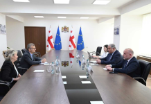 მხარეებმა განიხილეს ჯანდაცვის სფეროში მიმდინარე რეფორმები და იმსჯელეს შიდსის, ტუბერკულოზისა და ჰეპატიტების სამკურნალო სახელმწიფო პროგრამებზე Formal meeting in a conference room with Georgian and EU flags; officials sit at a long table negotiating/videoconference setup.