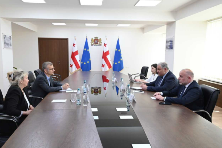 მხარეებმა განიხილეს ჯანდაცვის სფეროში მიმდინარე რეფორმები და იმსჯელეს შიდსის, ტუბერკულოზისა და ჰეპატიტების სამკურნალო სახელმწიფო პროგრამებზე