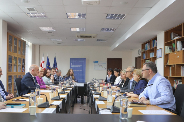 ეხვედრაზე ყურადღება გამახვილდა ჯანდაცვის სფეროში მიმდინარე რეფორმებზე, შიდსის, ტუბერკულოზისა და ჰეპატიტების მიმართულებით არსებულ პროგრამებსა და მიზნობრივ მხარდაჭერაზე