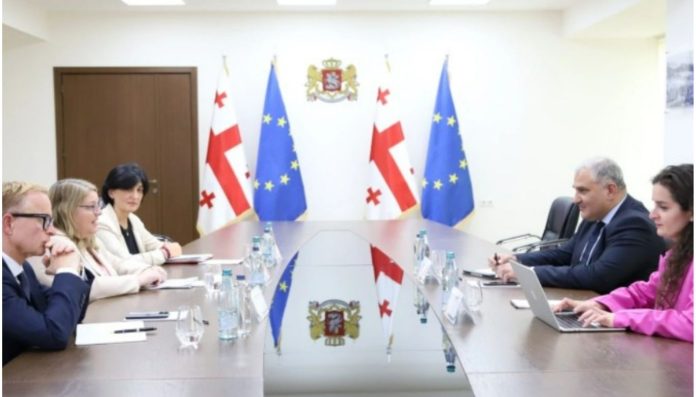 Diplomatic meeting between Georgia and EU representatives at a conference table with flags in the background