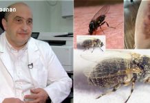 გიორგი კამკამიძე გვაფრთხილებს! მეტი სიფრთხილეა საჭირო: „შავი ბუზები საქართველოში – შეიცავს სისხლის შედედების შემაფერხებელ და ანთების გამომწვევ ნივთიერებებს“ გიორგი კამკამიძე გვაფრთხილებს! მეტი სიფრთხილეა საჭირო: „შავი ბუზები საქართველოში - შეიცავს სისხლის შედედების შემაფერხებელ და ანთების გამომწვევ ნივთიერებებს“