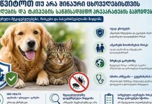 უნდა შევწყვიტოთ თუ არა შინაური ცხოველებისთვის რწყილებისა და ტკიპების საწინააღმდეგო პრეპარატების გამოყენება? უნდა შევწყვიტოთ თუ არა შინაური ცხოველებისთვის რწყილებისა და ტკიპების საწინააღმდეგო პრეპარატების გამოყენება?