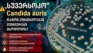 „სუპერსოკო“ Candida auris – რატომ აფრთხილებენ მეცნიერები მსოფლიოს?