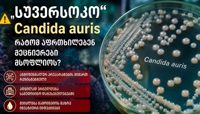 eqsperimentuli velnes procedura 1 „სუპერსოკო“ Candida auris – რატომ აფრთხილებენ მეცნიერები მსოფლიოს?