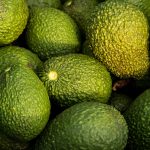 Pile of ripe green avocados with rough pebbled skin in a heap.