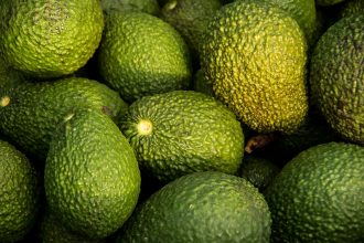 Pile of ripe green avocados with rough pebbled skin in a heap.