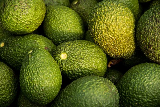 Pile of ripe green avocados with rough pebbled skin in a heap.
