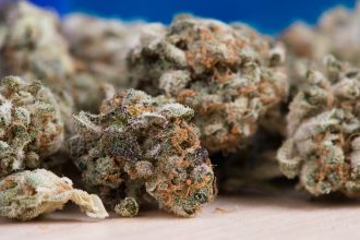 კანაფის THC PTSD-ის კოშმარების შემცირებაში პერსპექტივას აჩვენებს