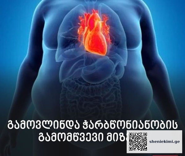 ჭარბწონიანობის მიზეზი გამოავლინეს – მასშტაბური კვლევის მიგნებები | sheniekimi.ge | შენი ექიმი