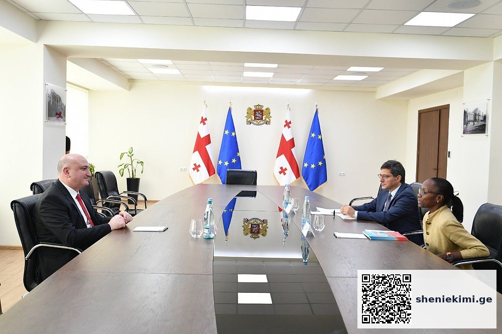 პირველადი ჯანდაცვის სისტემის განვითარების გზები და ჰოსპიტალური სექტორის დაფინანსების DRG მოდელი | sheniekimi.ge | შენი ექიმი