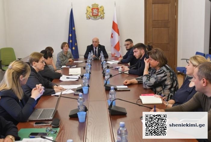 საქართველოში ფსიქიკური ჯანმრთელობის სერვისებზე ხელმისაწვდომობის საკითხზე შეხვედრა გაიმართა | sheniekimi.ge | შენი ექიმი
